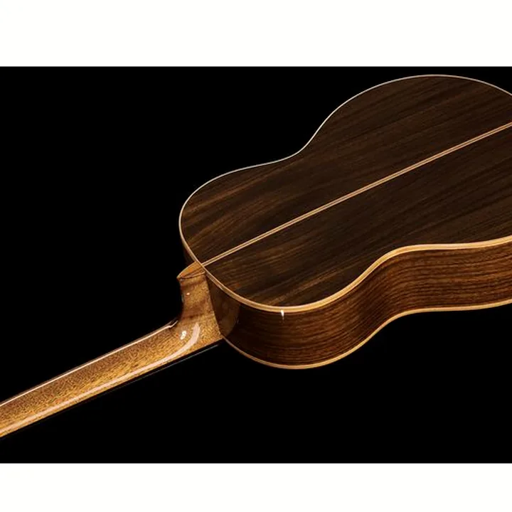 Avis, Test de la guitare Ortega RE158RWSN