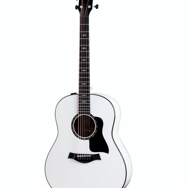 Guitare Taylor Custom #5: C17e B5005