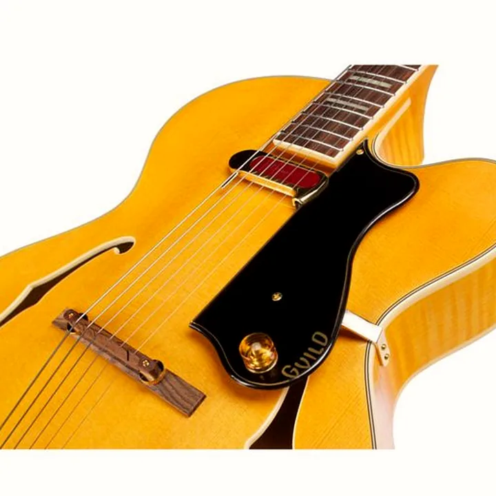 Avis & Test : DeArmond Rhythm Chief 1000