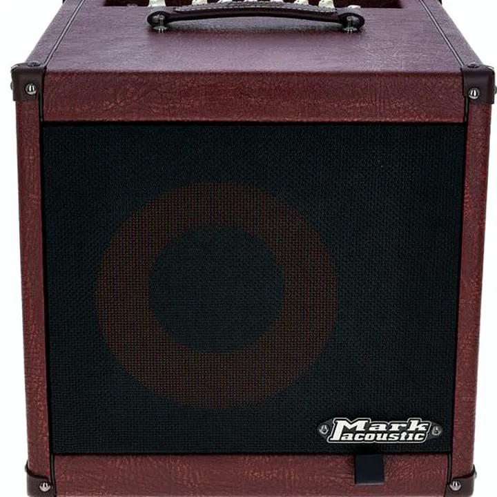 Avis, Test du combo guitare DV Mark AC 101H