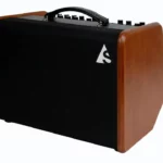 Avis & Test du combo guitare Godin Acoustic Solutions ASG-8 Wood