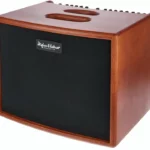 Avis & Test du combo Hughes&Kettner ERA 1 Wood