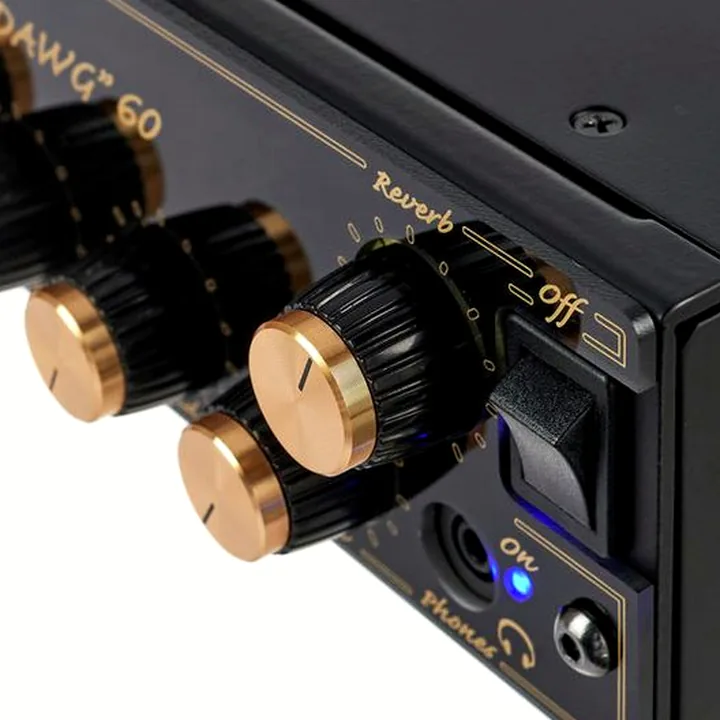 Avis & Test DV Mark Raw Dawg 60 EG