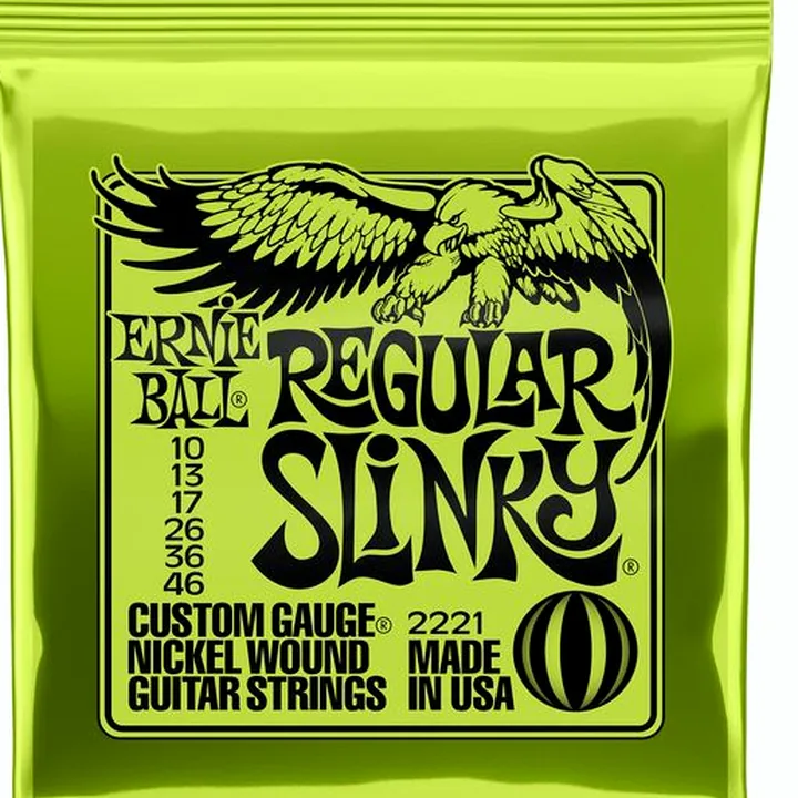 Ernie Ball 2221