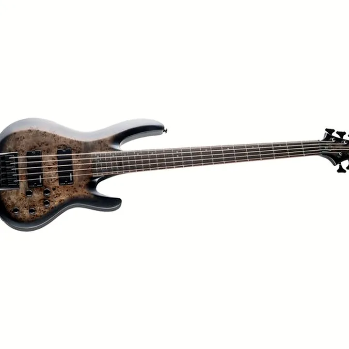 Avis & Test : ESP LTD B-5E BP Charcoal Burst