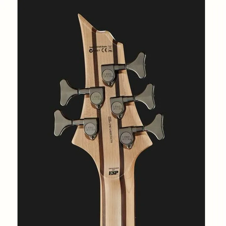 Avis, Test : ESP LTD B205SM FL Natural Satin