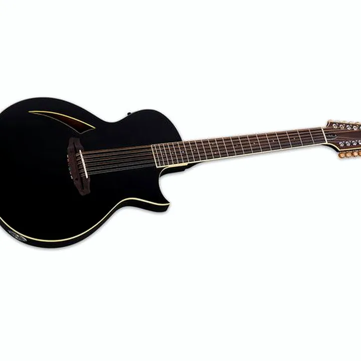Avis, Test ESP LTD TL-12 BK