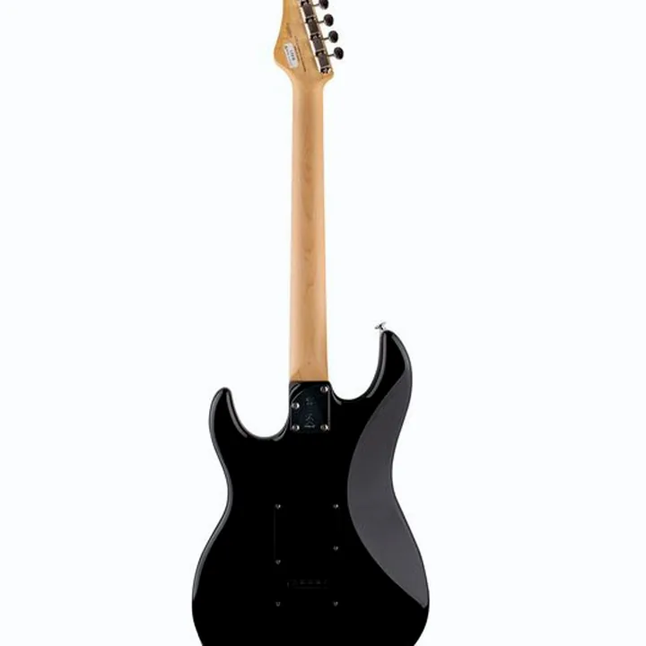 Avis & Test : FGN J-Standard Odyssey Trad. DMB