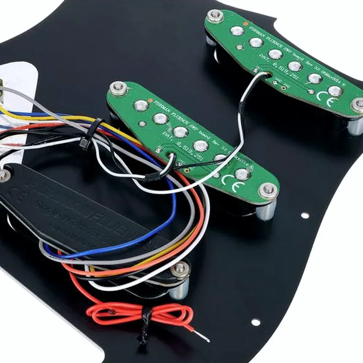 Avis, Test : Fishman Fluence Set PU loaded PG BK