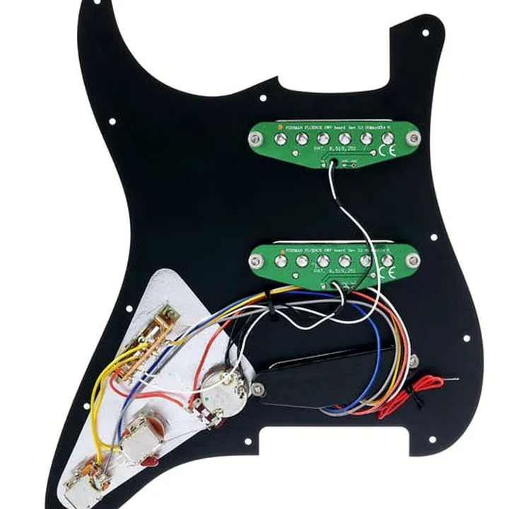 Avis, Test : Fishman Fluence Set PU loaded PG BK