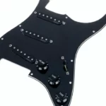 Avis, Test : Fishman Fluence Set PU loaded PG BK