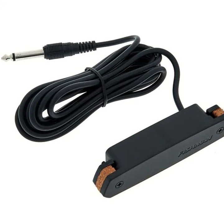 Avis, Test : Fishman Neo-D SingleCoil