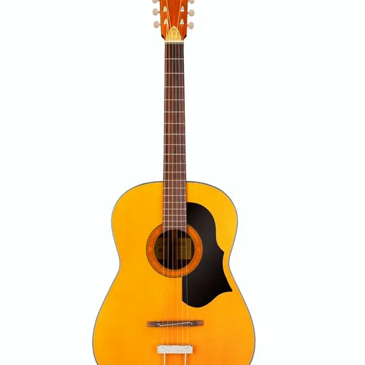 Framus Vintage Hootenanny 6 TN