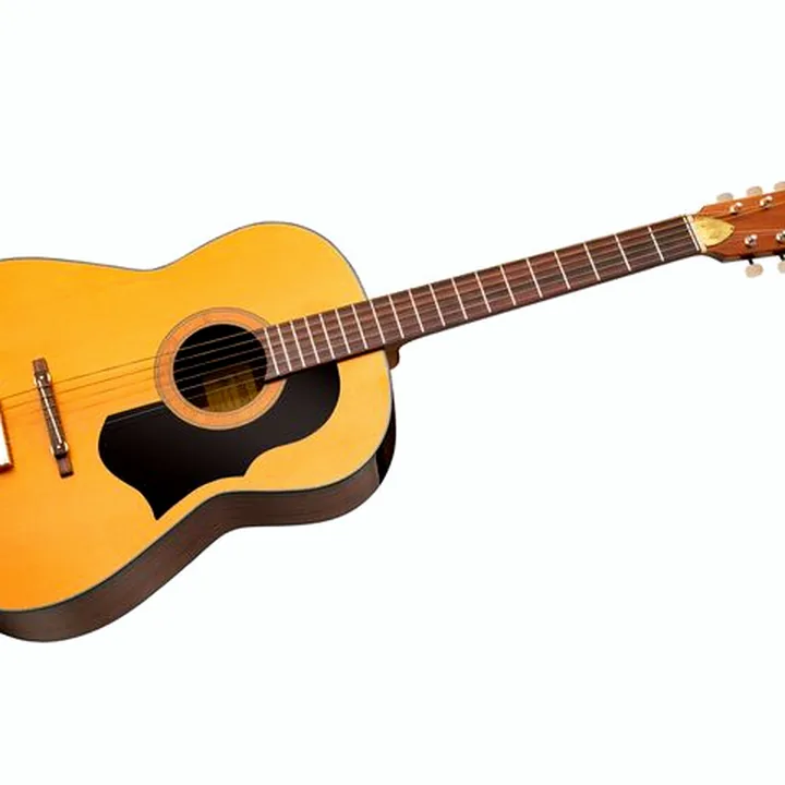 Avis & Test Framus Vintage Hootenanny 6 TN