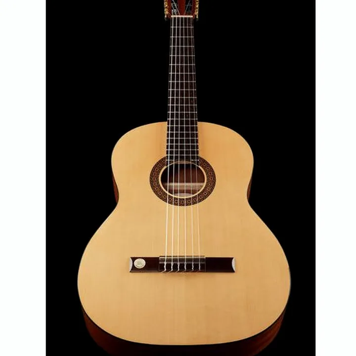 Avis & Test Gewa Pro Arte GC130A