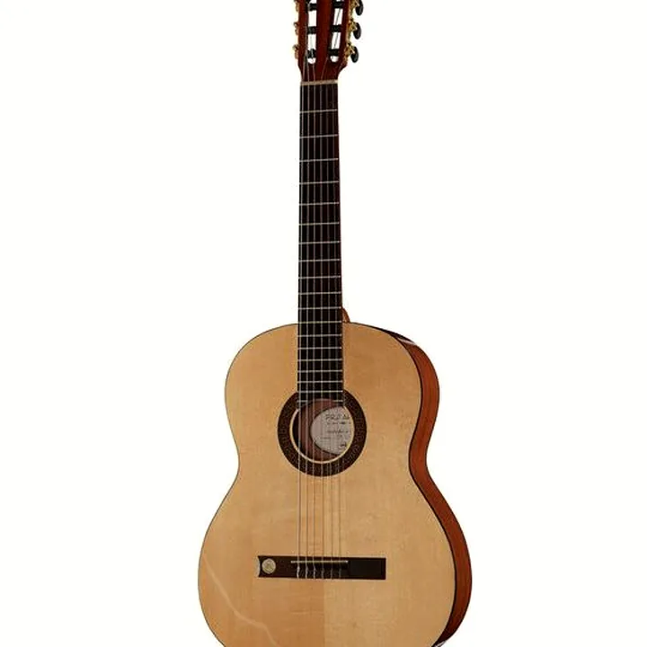 Gewa Pro Arte GC130A