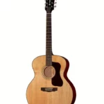 Avis, Test : Guild F-40 Traditional NAT