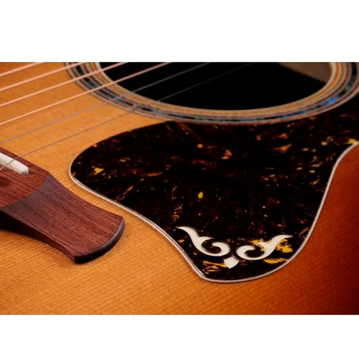 Avis & Test Guitare acoustique Taylor Gold Label 814e Koa Sunburst