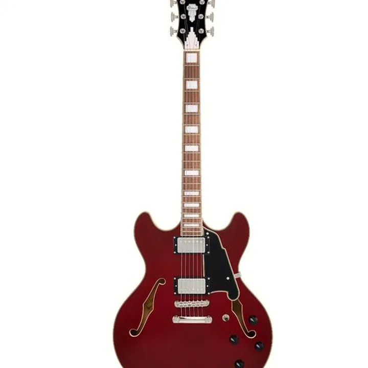Avis, Test Guitare DAngelico Premier DC Burnt Red