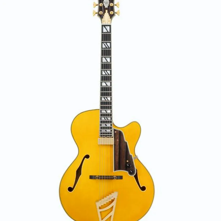 Guitare électrique DAngelico Excel 16 Amber