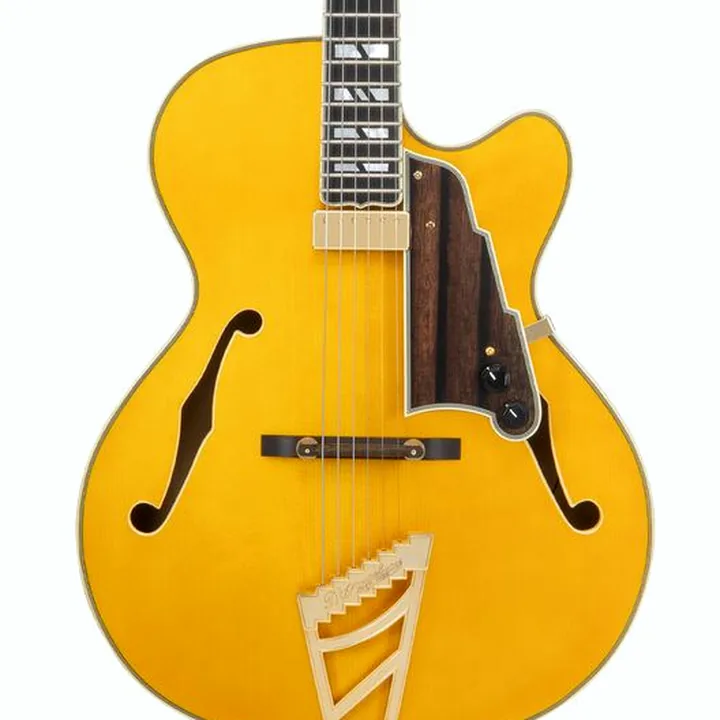 Avis, Test Guitare électrique DAngelico Excel 16 Amber