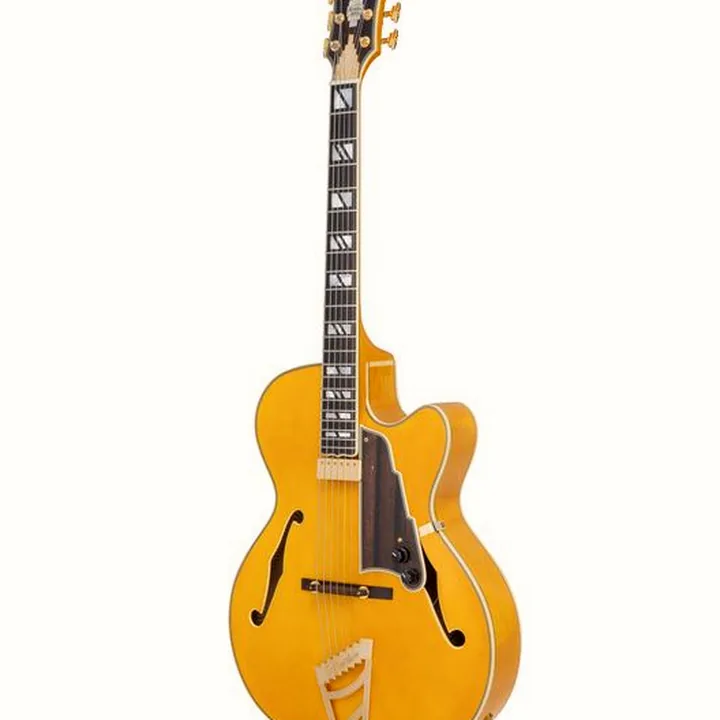 Avis, Test Guitare électrique DAngelico Excel 16 Amber