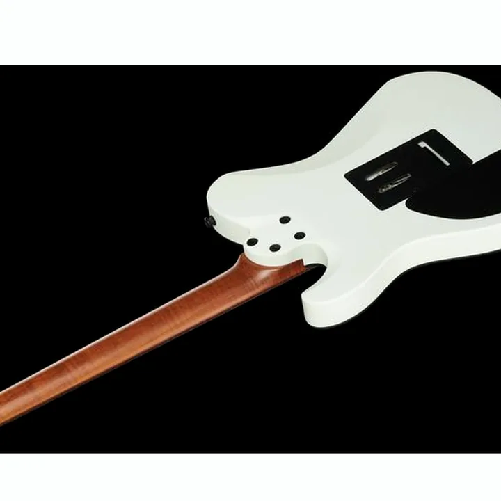 Avis & Test Guitare électrique Harley Benton Fusion-T HH Roasted SW Bundle