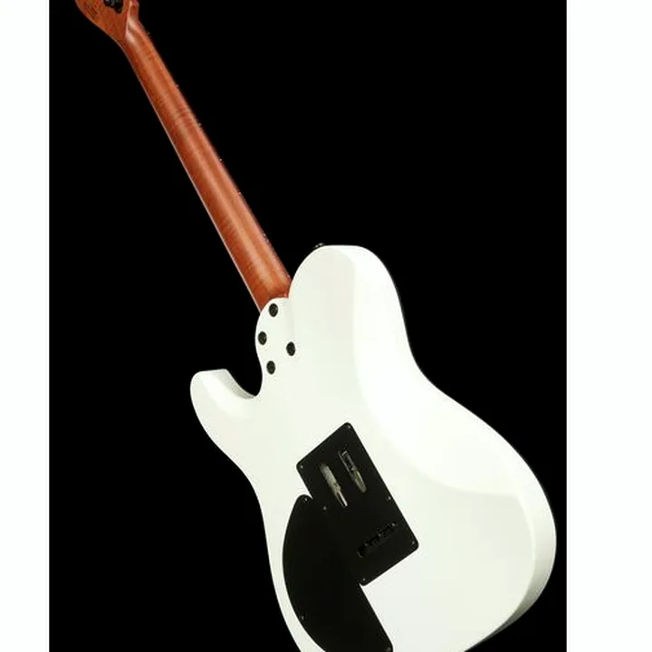 Avis & Test Guitare électrique Harley Benton Fusion-T HH Roasted SW Bundle