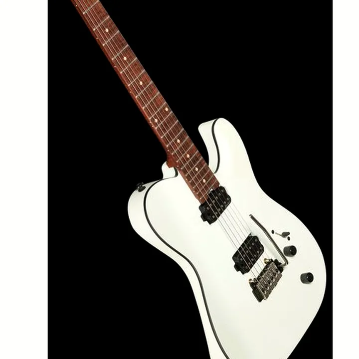 Avis & Test Guitare électrique Harley Benton Fusion-T HH Roasted SW Bundle