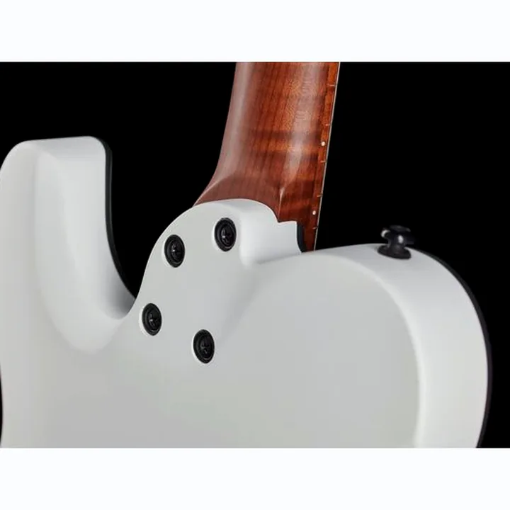 Avis & Test Guitare électrique Harley Benton Fusion-T HH Roasted SW Bundle