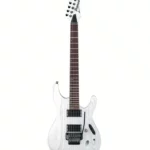 Avis, Test Guitare électrique Ibanez PWM20