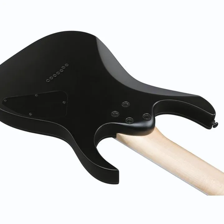 Avis, Test Guitare électrique Ibanez RG7421EXL-BKF