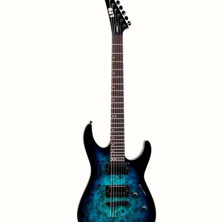 Avis & Test Guitare ESP LTD M-200DX NT BLB