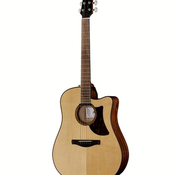 Guitare Ibanez AAD300CE-LGS