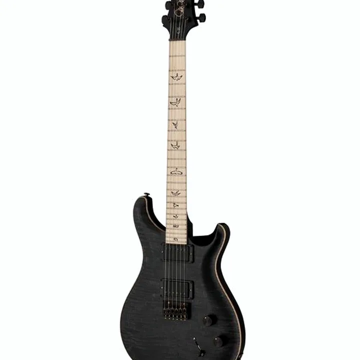 Avis & Test Guitare PRS PRS CE 24 Dustie Waring HT ZH