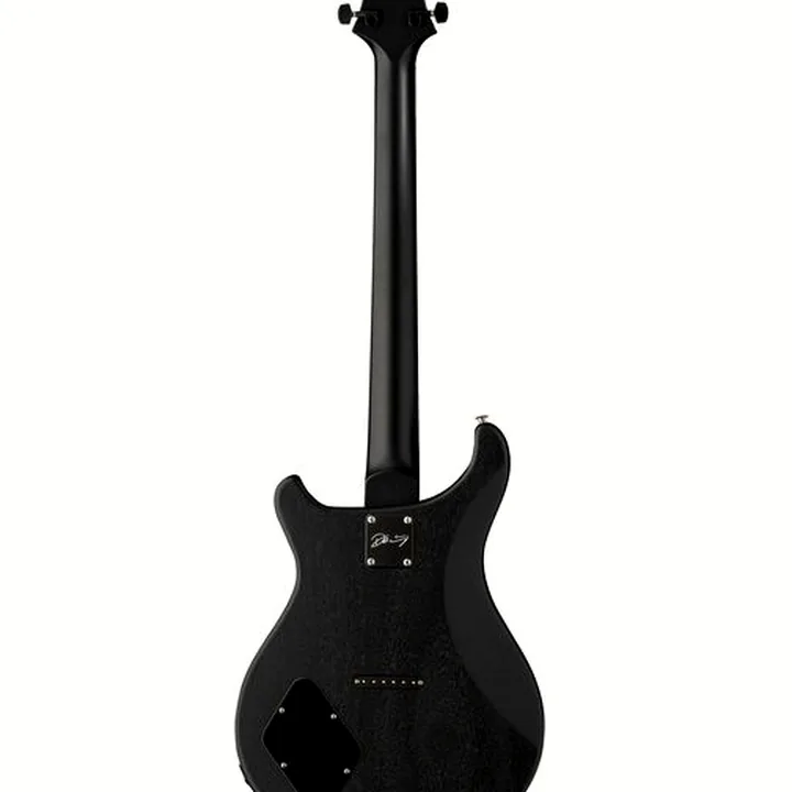 Avis & Test Guitare PRS PRS CE 24 Dustie Waring HT ZH