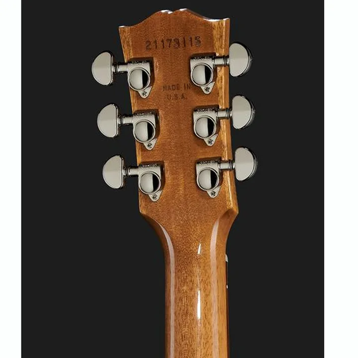 Avis, Test Guitarefolk Gibson Hummingbird Studio Rosewood AN