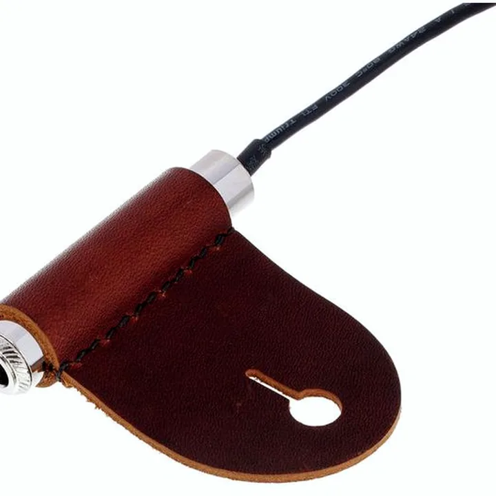 Avis, Test : Harley Benton TrueTone SH-30 Pro Active