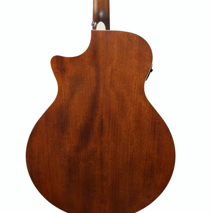 Avis, Test : Ibanez AE140-WKH