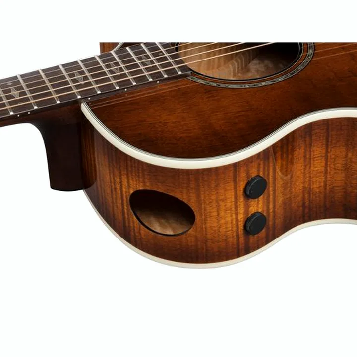 Avis & Test : Ibanez AE340FMH-MHS