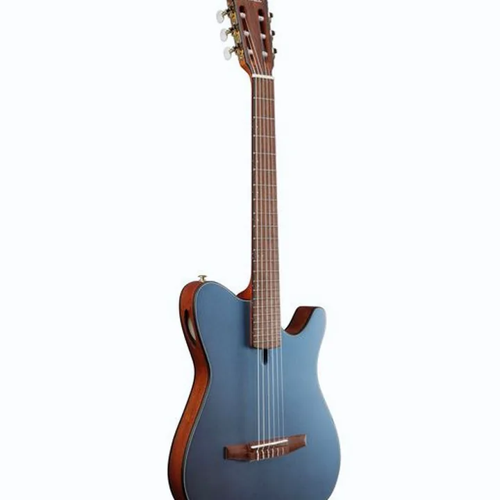 Avis, Test Ibanez FRH10N-IBF
