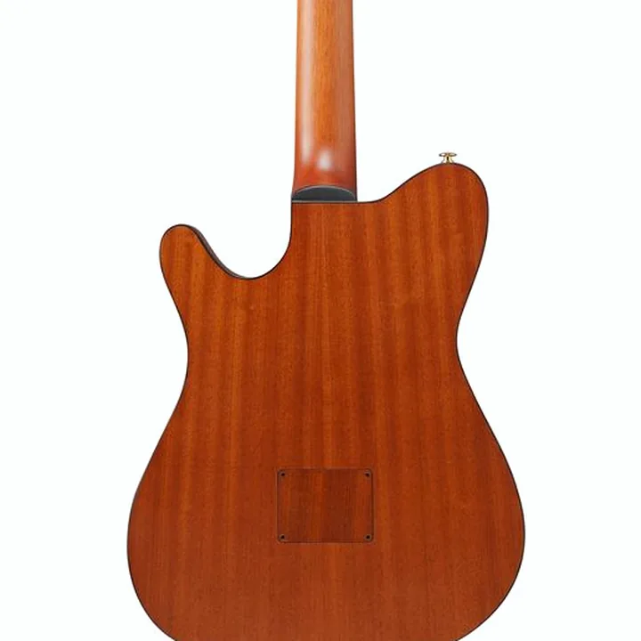Avis, Test Ibanez FRH10N-IBF