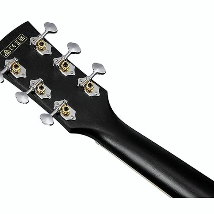 Avis, Test : Ibanez PN14MHE-WK