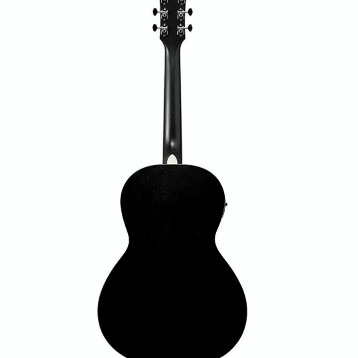 Avis, Test : Ibanez PN14MHE-WK