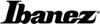 Guitare Acoustique Ibanez AAD50CE-LG