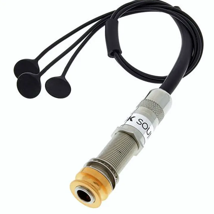 Avis, Test : K&K Pure Mini Gold Strap Button
