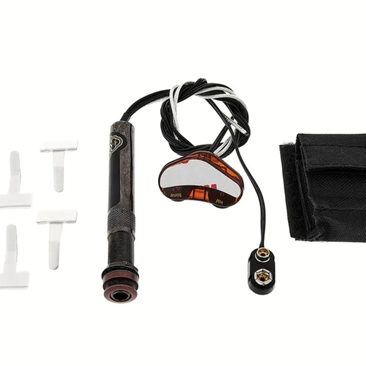 Avis & Test : L.R.Baggs Element Active System VTC