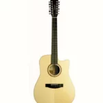 Avis, Test : Lakewood D-14-12 CP