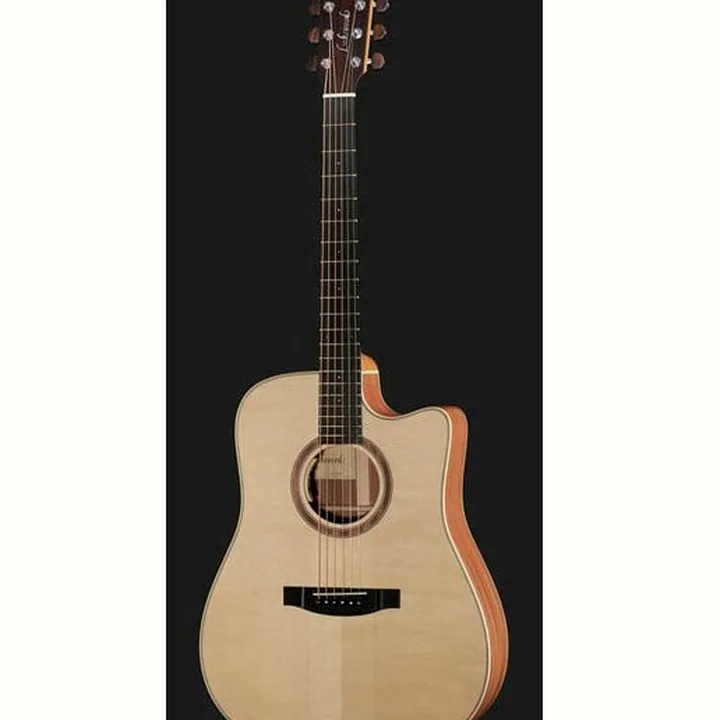 Avis, Test : Lakewood D-14 CP