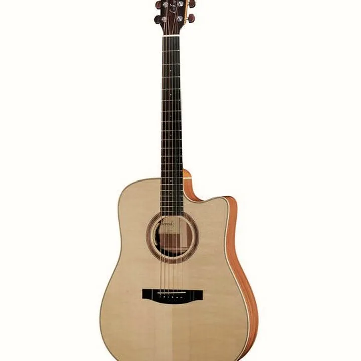 Avis, Test : Lakewood D-14 CP